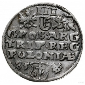 trojak 1585, Poznań; mała głowa króla (popiersie bez rę...