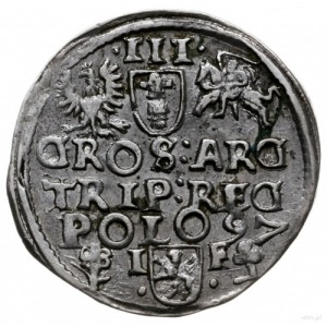 trojak 1597, Wschowa; wąska głowa króla, falowana kryza...