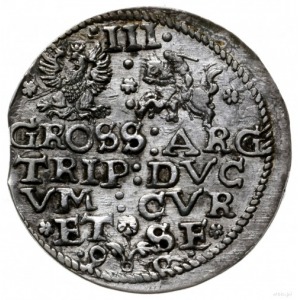 trojak 1596, Mitawa; skrócona data u dołu rewersu rozdz...