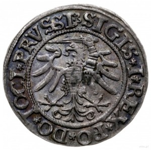 grosz 1533, Elbląg; końcówka napisu na awersie PRVSSI; ...