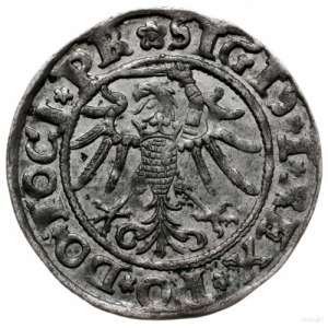 grosz 1535, Elbląg; z końcówką na awersie PR; Kop. 7082...