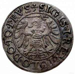 grosz 1539, Elbląg; końcówka napisu na awersie PRVS, st...