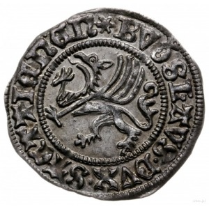 szeląg 1501, Szczecin; Dbg-P. 390, Kop. 4176 (R); wyśmi...