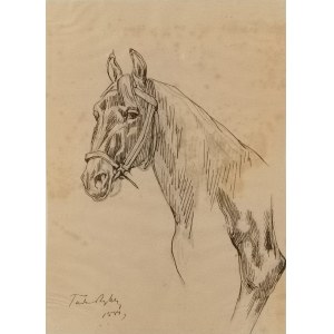 Tadeusz RYBKOWSKI (1848-1926), Szkic głowy konia i fragment nogi konia
