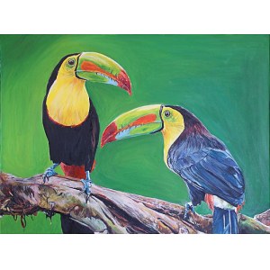 Ilona Foryś, Toucans.