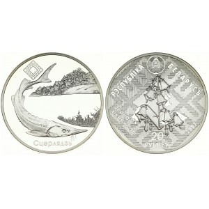 Belarus 20 Roubles 2007 Dniepra - Sozhsky. Averse: Against the background of ornamental canvas...