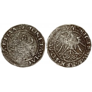 Lithuania 1 Grosz 1536 Vilnius. Sigismund I the Old (1506-1548) - Lithuanian coins; grosz 1536; Vilnius; Averse: Eagle...