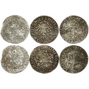 Lithuania 1/2 Grosz (1556-1561) Vilnius. Sigismund II Augustus (1545-1572) - Lithuanian coins 1564 Vilnius...