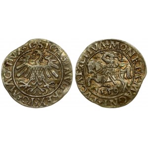 Lithuania 1/2 Grosz 1559 Vilnius. Sigismund II Augustus (1545-1572). Averse Lettering: SIGIS AVG REX PO MAG DVX L...