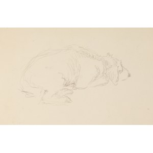 Józef Mehoffer (1869 Ropczyce - 1946 Wadowice), Odpoczywający pies – szkic do obrazu św. Huberta