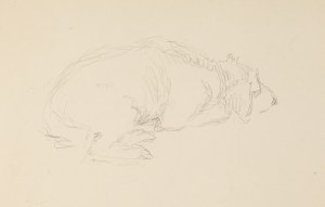 Józef Mehoffer (1869 Ropczyce - 1946 Wadowice), Odpoczywający pies – szkic do obrazu św. Huberta