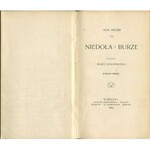 NEGRI Ada - Niedola. Burze [1904] [oprawa wydawnicza]