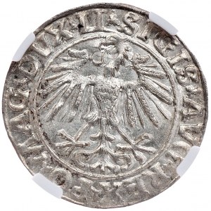 Zygmunt II August, półgrosz 1548, Wilno, LI/LITVA, rzymska cyfra I w dacie