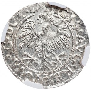 Zygmunt II August, półgrosz 1559, Wilno, L/LITV, duża cyfra 9 w dacie
