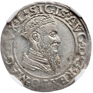 Zygmunt II August, czworak 1566, Wilno, L/LIT