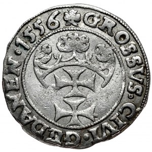 Zygmunt II August, grosz 1556, Gdańsk