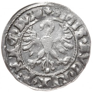Zygmunt II August, półgrosz 1546, Wilno, L/LITV, trefl nad cyfrą 9, DVXL. Nieopisany