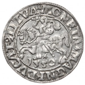 Zygmunt II August, półgrosz 1550, Wilno, L/LITVA