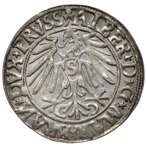 Prusy Książęce, Albrecht Hohenzollern, grosz 1544, Królewiec