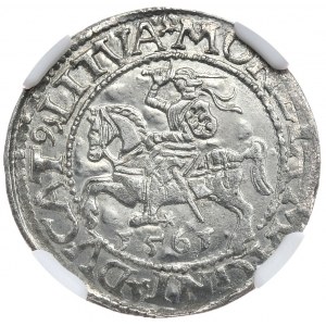 Zygmunt II August, półgrosz 1561, Wilno, LI/LITVA