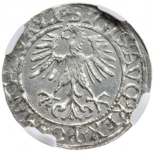Zygmunt II August, półgrosz 1561, Wilno, LI/LITVA