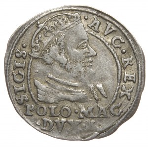 Sigismund II Augustus, Pfennig pro polnischen Fuß 1568, Tykocin, L/LIT