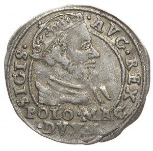 Zygmunt II August, grosz na stopę polską 1568, Tykocin, L/LIT
