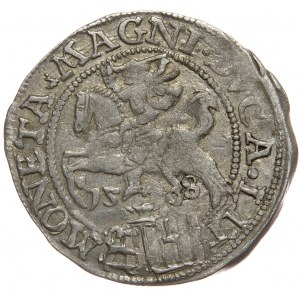 Sigismund II Augustus, Pfennig pro polnischen Fuß 1568, Tykocin, L/LIT