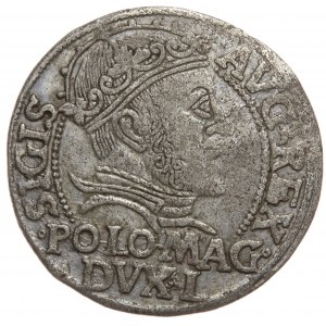 Sigismund II. Augustus, polnischer Fußpfennig 1546, Vilnius