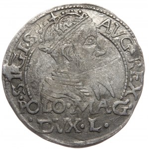 Sigismund II. Augustus, Pfennig pro polnischen Fuß 1567, Tykocin