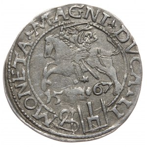 Sigismund II. Augustus, Pfennig pro polnischen Fuß 1567, Tykocin