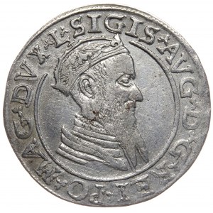 Zygmunt II August, czworak 1568, Wilno, L/LITV