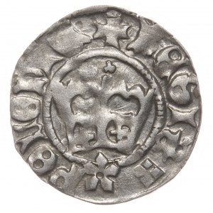 John I Olbracht, half-penny, Cracow