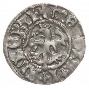 Johannes I. Olbracht, halber Pfennig, Krakau