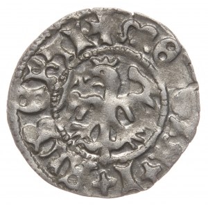 John I Olbracht, half-penny, Cracow