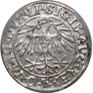Sigismund II Augustus, half-penny 1548, Vilnius