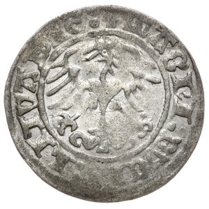 Sigismund I. der Alte, Halbpfennig 1514, Vilnius, Doppelpunkt nach der Jahreszahl, sehr selten