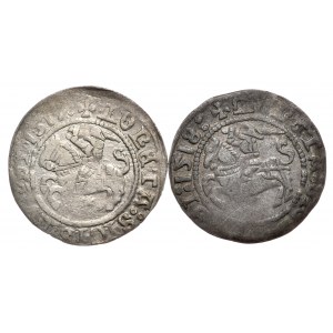 Sigismund I. der Alte, Halbpfennig 1517 und 1518, Vilnius, seltene Sorten