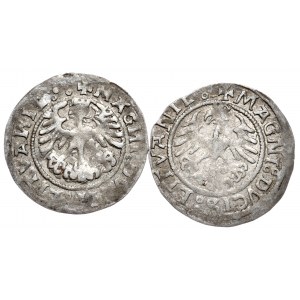 Sigismund I. der Alte, Halbpfennig 1519 (sehr selten) und 1521, Wilna