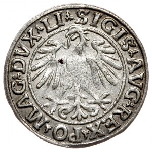 Sigismund II. Augustus, Halbpfennig 1547, Wilna - LI/LITVA