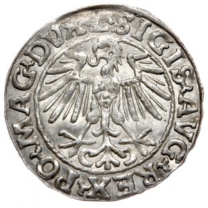 Sigismund II. Augustus, Halbpfennig 1548, Wilna - L/LITVA