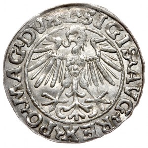 Sigismund II Augustus, Half-penny 1548, Vilnius - L/LITVA