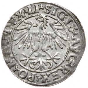 Zikmund II August, půlgroše 1548, Vilnius - LI/LITVA