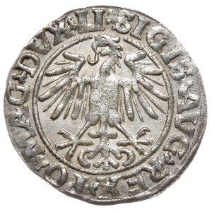 Sigismund II Augustus, Half-penny 1549, Vilnius - LI/LITVA