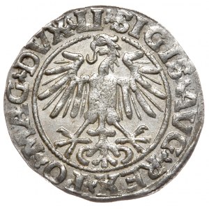 Sigismund II. Augustus, Halbpfennig 1549, Wilna - LI/LITVA