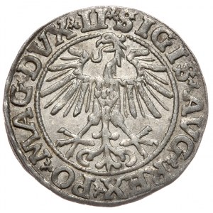 Zygmunt II August, Półgrosz 1551, Wilno - LI/LITVA