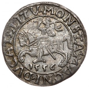 Zikmund II August, půlpenny 1556, Vilnius - LI/LITV