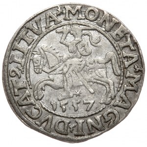 Zikmund II August, půlpenny 1557, Vilnius - LI/LITVA