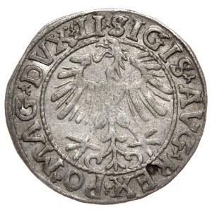 Žigmund II August, polgroš 1557, Vilnius - LI/LITVA