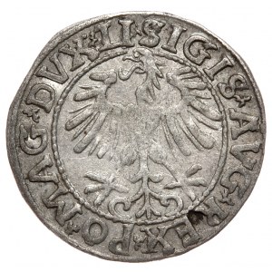 Zikmund II August, půlpenny 1557, Vilnius - LI/LITVA